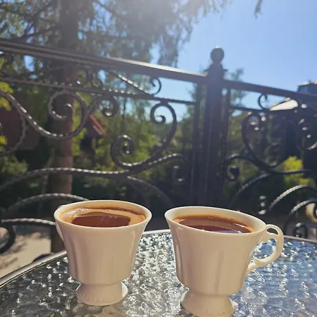 Apartment Green Zlatibor *